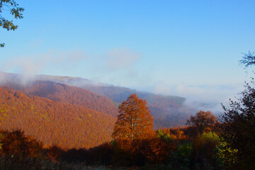 Beautiful landscape of autumn Ukrainian mountains in the Carpathians.
