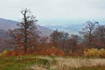Beautiful landscape of autumn Ukrainian mountains in the Carpathians.