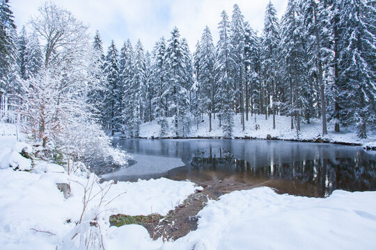 See im Winter