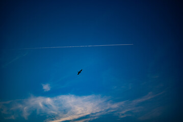 flight over the clouds