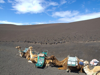 Vulkanlandschaft auf Lanzarote