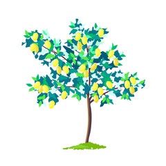Lemon tree abstract illustration, vector