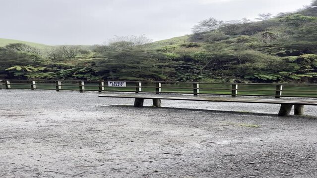 ブルースプリング プタルル ニュージーランド