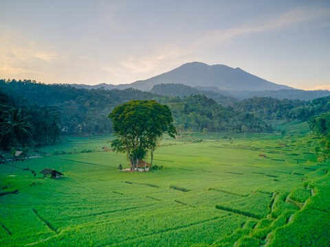 Mount Ciremai, one of the mountains in West Java. This highest mountain in West Java has a very beautiful natural beauty, one of which is in Bantaragung Village and Sindangpano Village. 