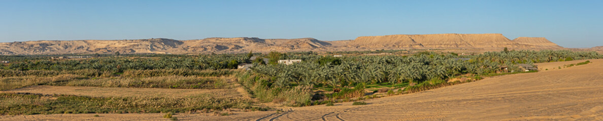 Panoramic view over remote desert landscape with oasis