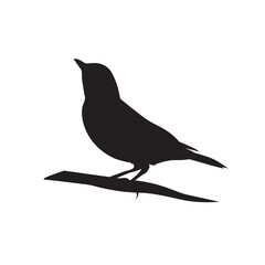 Obraz premium Humming bird silhouette vector isolated. Cute bird icon.