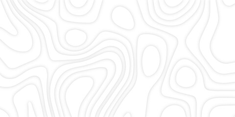 Abstract 3d wavy line paper cut white background.realistic papercut decoration textured with wavy layers.3d Topographic canyon geometric map relief texture with curved layers and shadow.