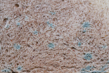  brown bread with mildew. Spoiled products