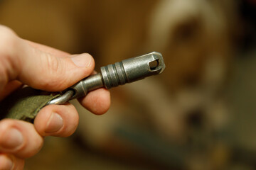 hand holding dog leash with carabiner