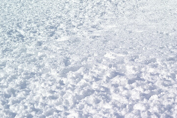 雪　冬　雪原