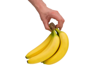 A bunch of mini bananas in male hand. Image of exotic fruits isolated on white background. Bio fresh fruits.