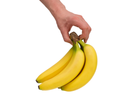 A bunch of mini bananas in male hand. Image of exotic fruits isolated on white background. Bio fresh fruits. - Powered by Adobe