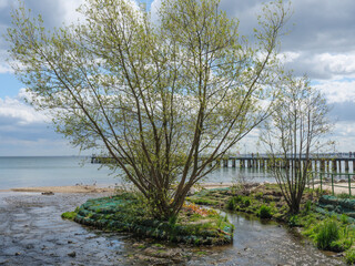 Die polnische Küste bei Gdynia