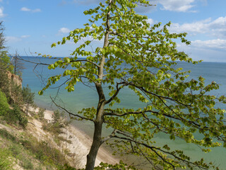 Obraz premium Gdynia an der polnischen Ostsee