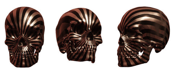 human skull