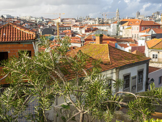 Naklejka premium Die Stadt Porto am Douro in Portugal