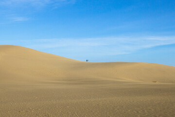 春の鳥取砂丘とその紋様 鳥取県 鳥取砂丘