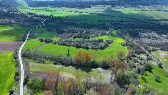Spring landscape in Ahedo de Linares seen from a drone in the surroundings of the Canales del Dulla. Merindad de Sotoscueva. The Merindades. Burgos. Spain. Europe
