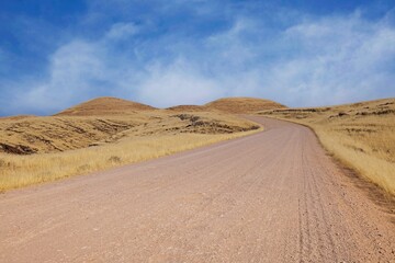 Desert landscape with acacia trees and mountains, NamibRand Nature Reserve, Namib, Namibia, Africa