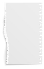 Ripped notepad sheet. Realistic paper page mockup