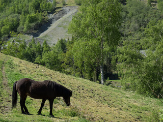 Flam in  Norwegen