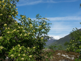 Flam in  Norwegen