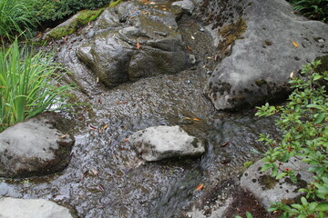 Japanese garden park in Seattle.