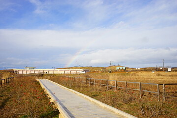 Wooden Path at Gensei Flower Garden in Abashiri, Hokkaido - 北海道 網走国定公園 小清水 原生花園 遊歩道