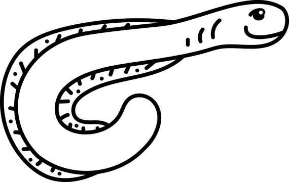 recommend clip art: Sea eel doodle. Cute single sea eel with smile. Cartoon white and black vector illustration.