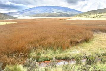 Limpiopungo Lagoon in Ecuador's Cotopaxi National Park