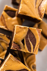 Chocolate fudge with peanut butter swirl
