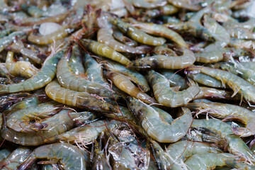 Many fresh raw shrimps close up, heap of prawns on seafood market, tropical marine crustaceans, gourmet healthy food, sea or ocean animal, shrimp pattern, prawn texture