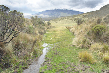Limpiopungo Lagoon in Ecuador's Cotopaxi National Park