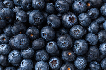 Fresh blueberries background. Texture of ripe juicy wildberries. Sweet blueberry for vegetarian desserts and vitamin vegan snacks. Natural antioxidant for healthy eating.