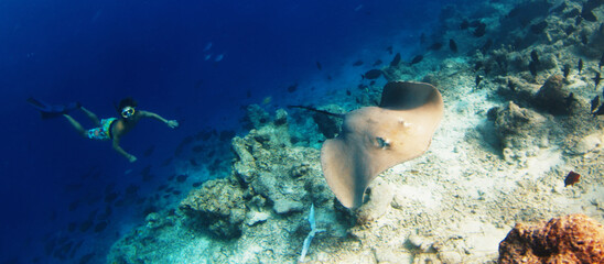 Man swims with stingray