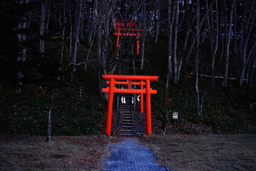 Torii of Inari Shrine and Hakuryu Shrine in Akan, Hokkaido, Japan - 日本 北海道 阿寒湖稲荷神社 鳥居