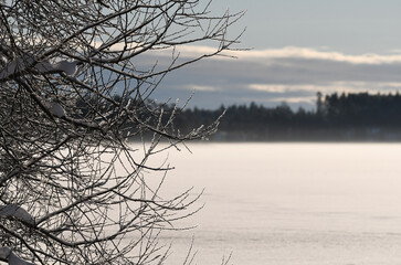 Fototapeta na wymiar Landscape of frozen lake with fresh snow 