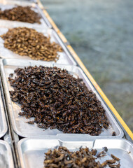 Crickets and various kinds of insects are fried and stacked in stainless steel trays.