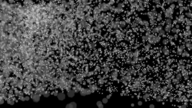Murmuration simulated using particle physics.
Clouds of particles whirling around with shallow depth of field.