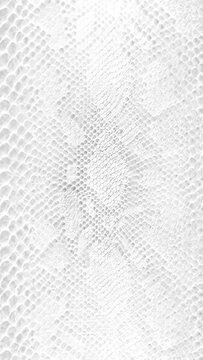 abstract parallax background texture of white snake skin Vertical video