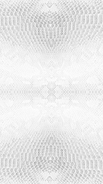 abstract parallax background texture of white snake skin Vertical video