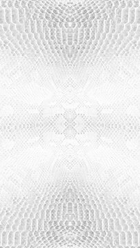 abstract parallax background texture of white snake skin Vertical video