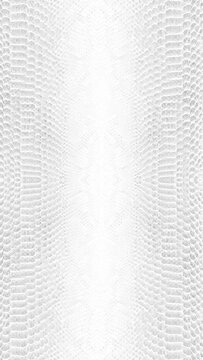 abstract parallax background texture of white snake skin Vertical video