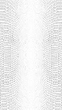 abstract parallax background texture of white snake skin Vertical video