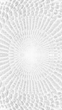 abstract parallax background texture of white snake skin Vertical video