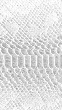 abstract parallax background texture of white snake skin Vertical video