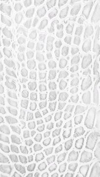 abstract parallax background texture of white snake skin Vertical video