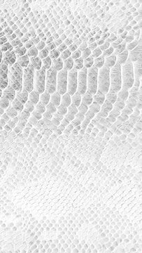 abstract parallax background texture of white snake skin Vertical video