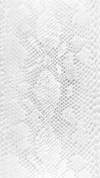 abstract parallax background texture of white snake skin Vertical video