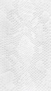 abstract parallax background texture of white snake skin Vertical video